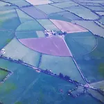 The Ring Birr