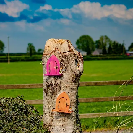 The Ring 3* Бирр