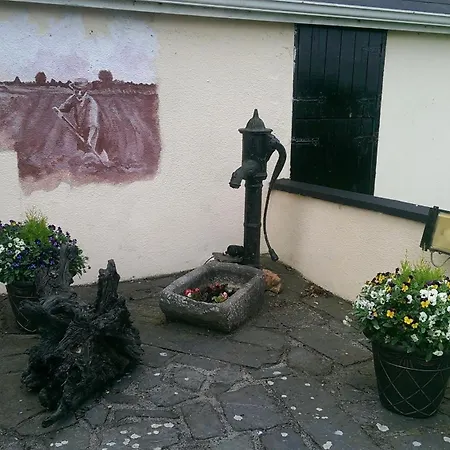 The Ring Farmhouse Bed & Breakfast Birr